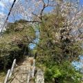 実際訪問したユーザーが直接撮影して投稿した祇園神社新羅神社の写真