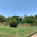 実際訪問したユーザーが直接撮影して投稿した明石公園公園明石公園の写真