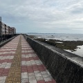 実際訪問したユーザーが直接撮影して投稿した宮城海岸 / 岬宮城海岸の写真