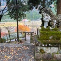 実際訪問したユーザーが直接撮影して投稿した板取神社根道神社の写真