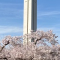 実際訪問したユーザーが直接撮影して投稿した百舌鳥夕雲町公園大仙公園の写真