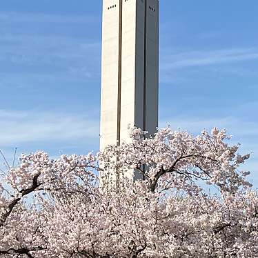 実際訪問したユーザーが直接撮影して投稿した百舌鳥夕雲町公園大仙公園の写真