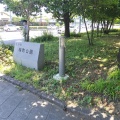 実際訪問したユーザーが直接撮影して投稿した緑町公園緑町公園の写真