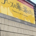 実際訪問したユーザーが直接撮影して投稿した明大寺町居酒屋チーズの海に溺れたい 東岡崎店の写真