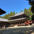 実際訪問したユーザーが直接撮影して投稿した山 / 峠書写山の写真