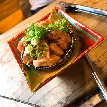 実際訪問したユーザーが直接撮影して投稿した平山鶏料理地どり庵 三蔵の写真