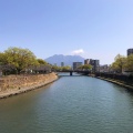 実際訪問したユーザーが直接撮影して投稿した桜島二俣町山 / 峠桜島の写真