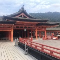 実際訪問したユーザーが直接撮影して投稿した宮島町神社厳島神社の写真