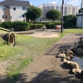 実際訪問したユーザーが直接撮影して投稿した喜多見公園喜多見まちかど公園の写真