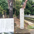 実際訪問したユーザーが直接撮影して投稿した下新田神社玉村八幡宮の写真