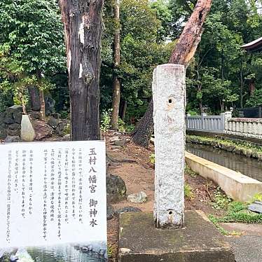 実際訪問したユーザーが直接撮影して投稿した下新田神社玉村八幡宮の写真