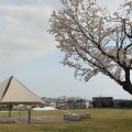 実際訪問したユーザーが直接撮影して投稿した高瀬公園武生中央公園の写真