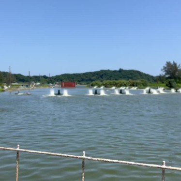 カロンパンさんが投稿した運天原魚介 / 海鮮料理のお店くるまえびキッチンTAMAYA/くるまえびきっちんたまやの写真