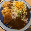 実際訪問したユーザーが直接撮影して投稿した虎ノ門カレーもうやんカレー とらのもん(虎ノ門店)の写真