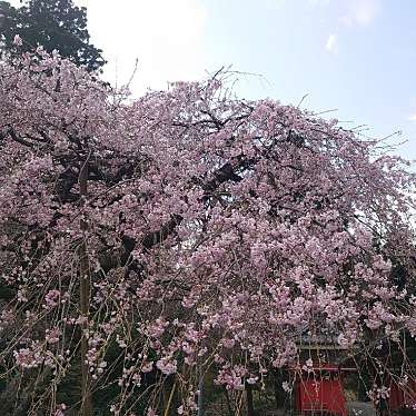 実際訪問したユーザーが直接撮影して投稿した美杉町三多気寺真福院の写真