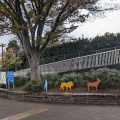 実際訪問したユーザーが直接撮影して投稿した老松町公園野毛山公園の写真