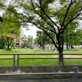 実際訪問したユーザーが直接撮影して投稿した大淀中公園大淀中公園の写真