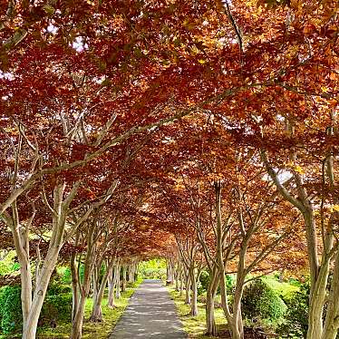 札幌市緑化植物園平岡樹芸センターのundefinedに実際訪問訪問したユーザーunknownさんが新しく投稿した新着口コミの写真