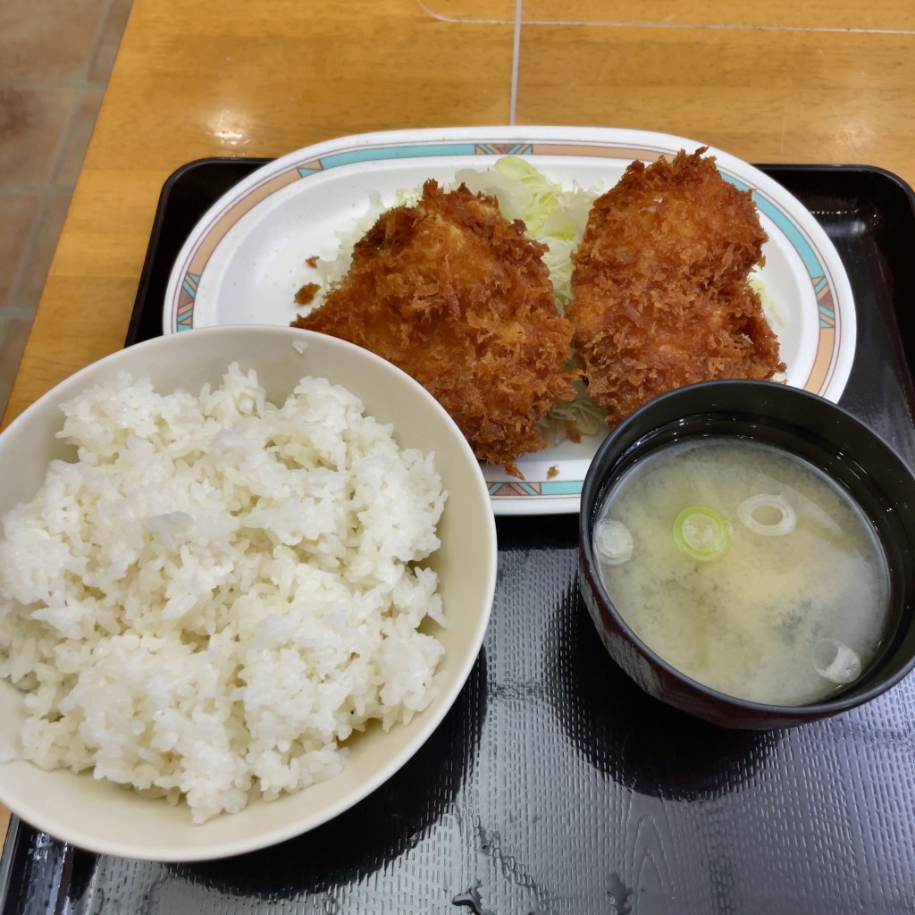 ユーザーが投稿したチキンカツ定食の写真 - 実際訪問したユーザーが直接撮影して投稿した馬場下町定食屋キッチンオトボケの写真