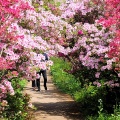 実際訪問したユーザーが直接撮影して投稿した和田公園小室山公園の写真