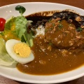 ハンバーグカレー - 実際訪問したユーザーが直接撮影して投稿した有馬町ステーキグリル六甲の写真のメニュー情報