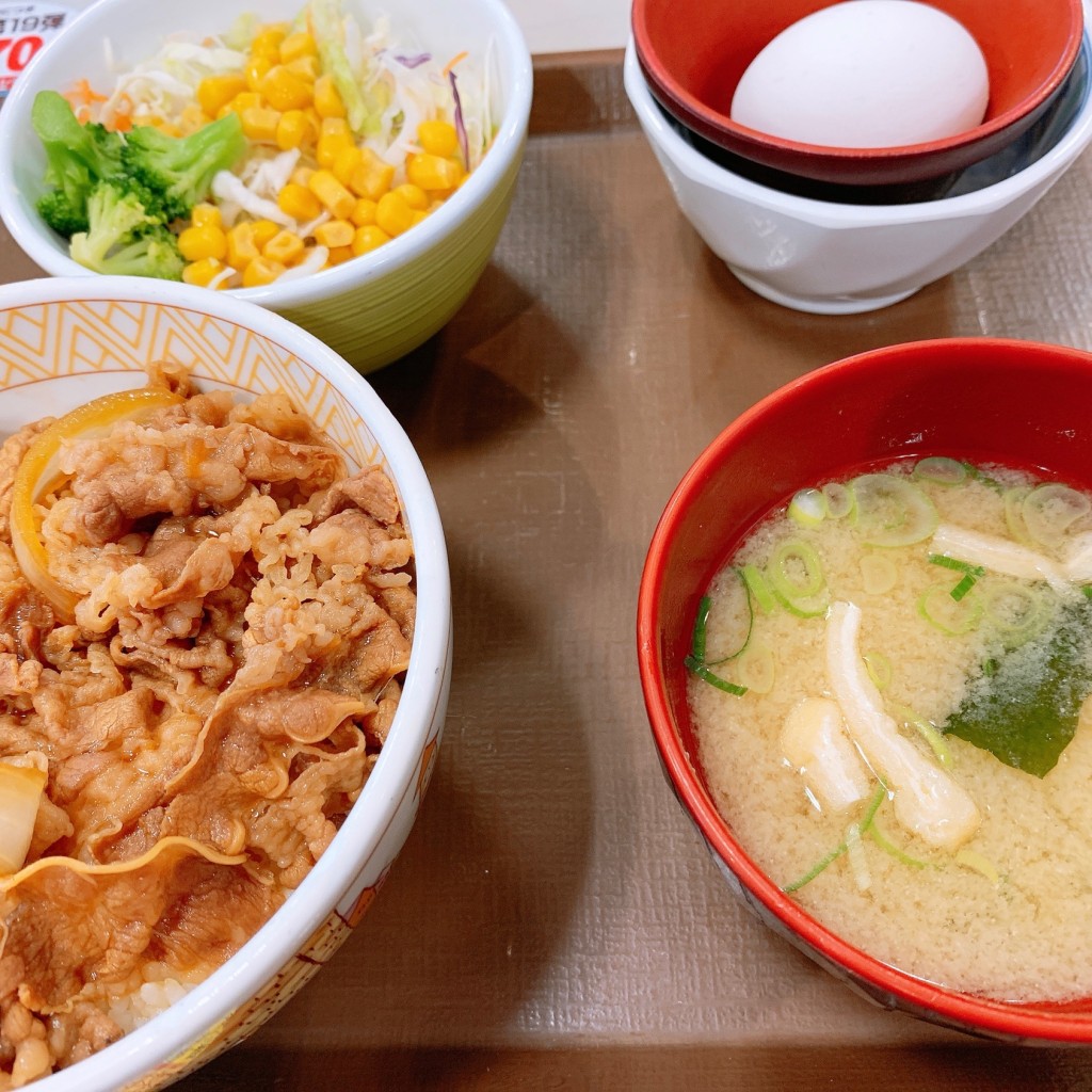 ユーザーが投稿したランチ(牛丼)の写真 - 実際訪問したユーザーが直接撮影して投稿した下鳥羽六反長町牛丼すき家 伏見新堀川店の写真