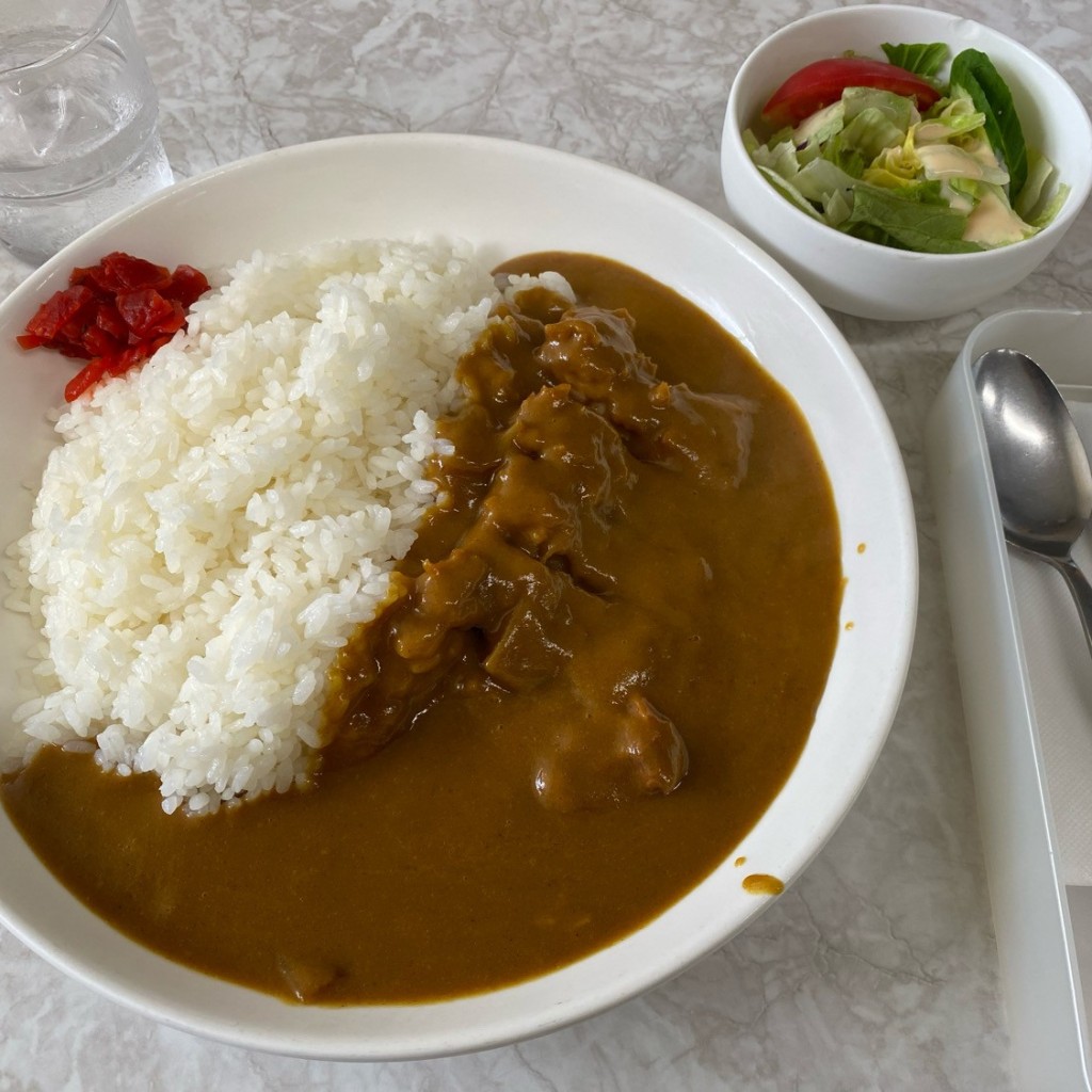 てつの棒さんが投稿した鶴田町定食屋のお店若山食堂/ワカヤマシヨクドウの写真