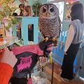 実際訪問したユーザーが直接撮影して投稿した角振町カフェ小動物カフェ はなはなの写真
