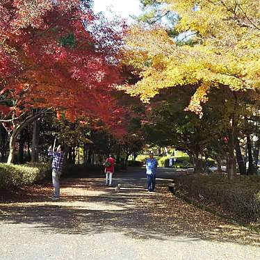 実際訪問したユーザーが直接撮影して投稿した中区牧野公園多可町余暇村公園の写真