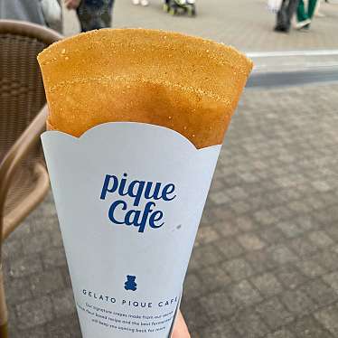 gelato pique cafe 佐野プレミアム・アウトレット店のundefinedに実際訪問訪問したユーザーunknownさんが新しく投稿した新着口コミの写真