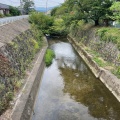 実際訪問したユーザーが直接撮影して投稿した河川飛鳥川の写真