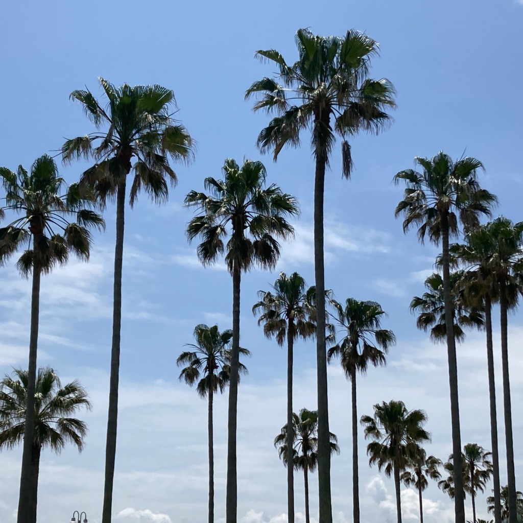 MRピクルスさんが投稿した上人ケ浜町公園のお店上人ヶ浜公園/ショウニンガハマコウエンの写真