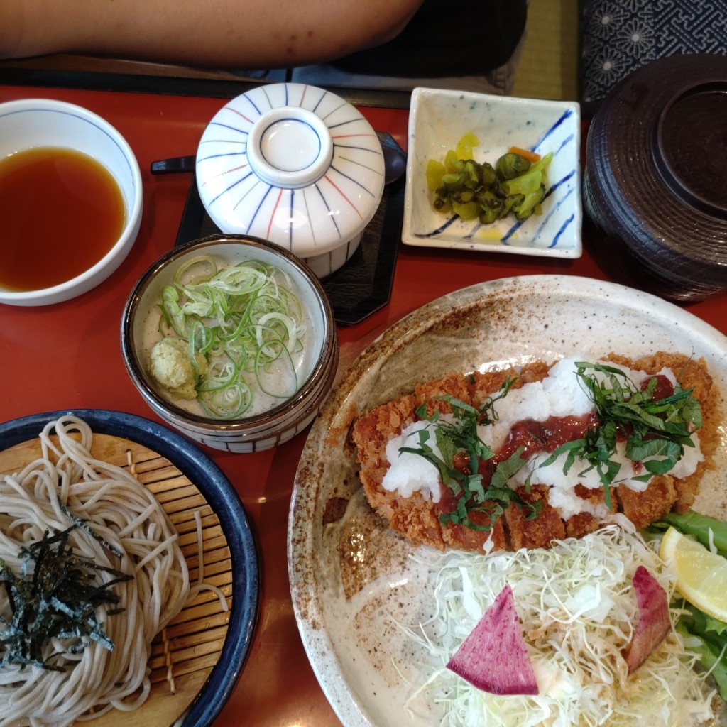 ユーザーが投稿した梅おろしとんかつ定食の写真 - 実際訪問したユーザーが直接撮影して投稿した立部和食 / 日本料理和食麺処サガミ 松原店の写真