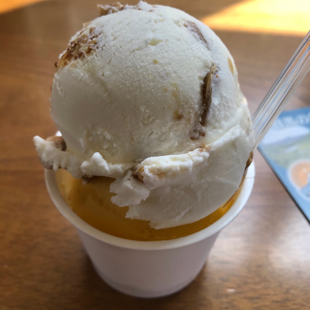 ユーザーが投稿したダブルの写真 - 実際訪問したユーザーが直接撮影して投稿した下里見町アイスクリームAlbero.の写真