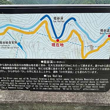 実際訪問したユーザーが直接撮影して投稿した西祖谷山村田ノ内滝 / 渓谷祖谷渓の写真