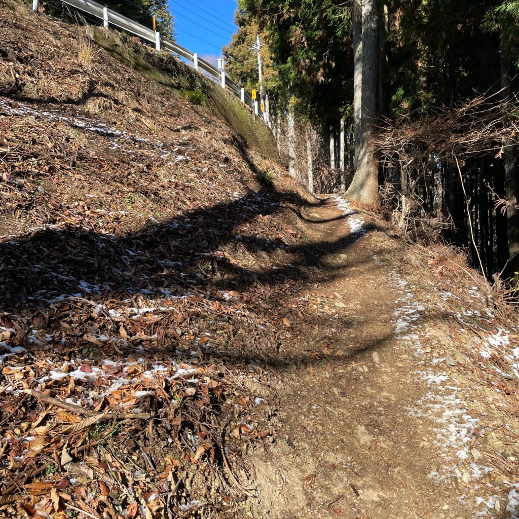 実際訪問したユーザーが直接撮影して投稿したウォーキング / トレッキングコースグリーンラインに沿ったみちの写真