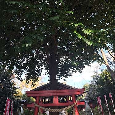 実際訪問したユーザーが直接撮影して投稿した中町神社八重垣稲荷神社の写真