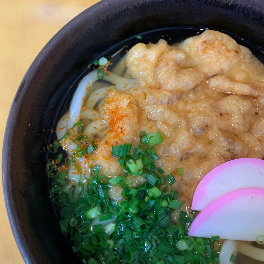 ユーザーが投稿した天ぷらうどんの写真 - 実際訪問したユーザーが直接撮影して投稿した本町和食 / 日本料理天ぷら専門店 天若。の写真