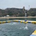 実際訪問したユーザーが直接撮影して投稿した津田町鶴羽水族館 / アクアリウム日本ドルフィンセンターの写真