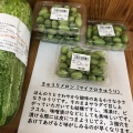 実際訪問したユーザーが直接撮影して投稿した飯島道の駅道の駅 白川郷の写真