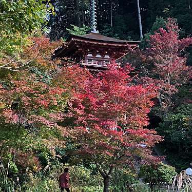 実際訪問したユーザーが直接撮影して投稿した加茂町西小寺浄瑠璃寺の写真