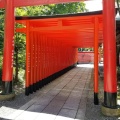 実際訪問したユーザーが直接撮影して投稿した犬山神社針綱神社の写真