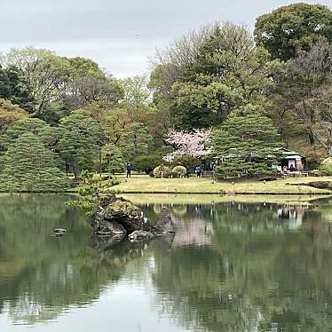 実際訪問したユーザーが直接撮影して投稿した本駒込庭園蓬莱島の写真