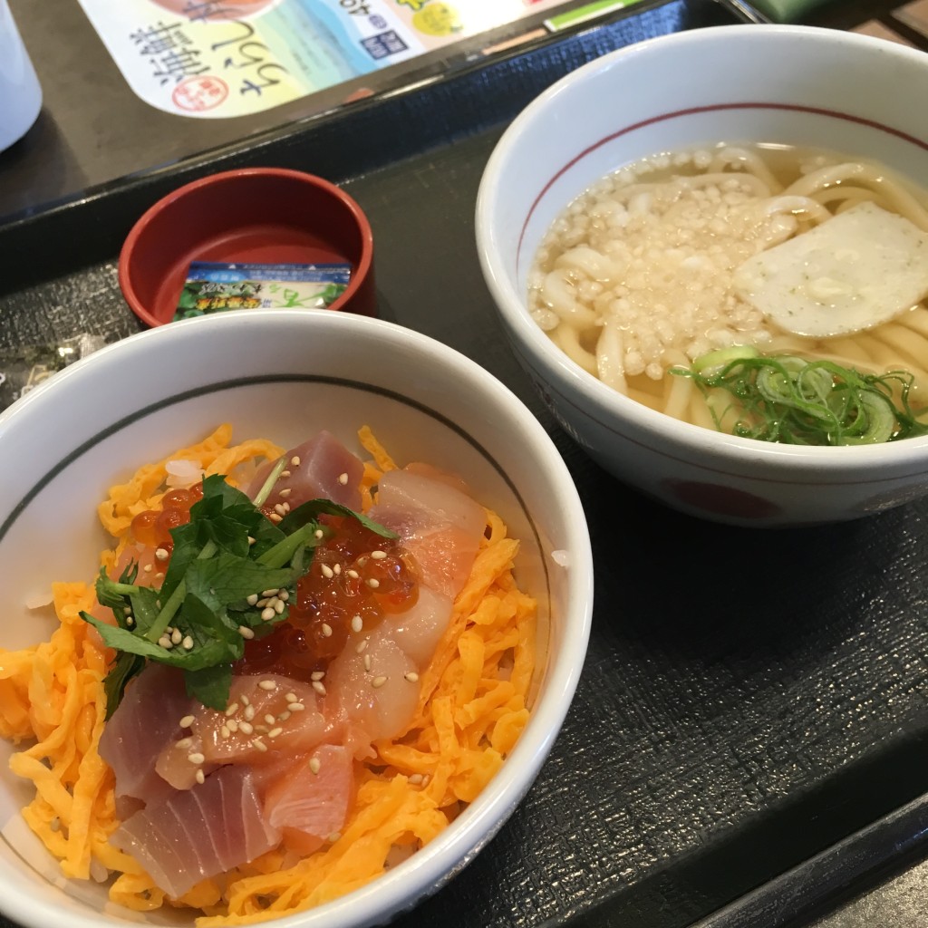 ユーザーが投稿した海鮮ちらしミニ丼・うどんはいからの写真 - 実際訪問したユーザーが直接撮影して投稿した千島丼ものなか卯 大正千島店の写真