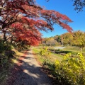 実際訪問したユーザーが直接撮影して投稿した多磨町公園武蔵野公園の写真