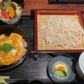 更科そばとミニ親子丼 米/プリン - 実際訪問したユーザーが直接撮影して投稿した中町焼鳥比内やサスケ郡山本店の写真のメニュー情報