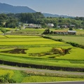 実際訪問したユーザーが直接撮影して投稿した中山定食屋レストラン 中山盆地の写真