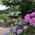 実際訪問したユーザーが直接撮影して投稿した矢田町寺矢田寺の写真