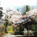 実際訪問したユーザーが直接撮影して投稿した赤穂寺光前寺の写真