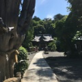 実際訪問したユーザーが直接撮影して投稿した白浜神社伊古奈比咩命神社の写真